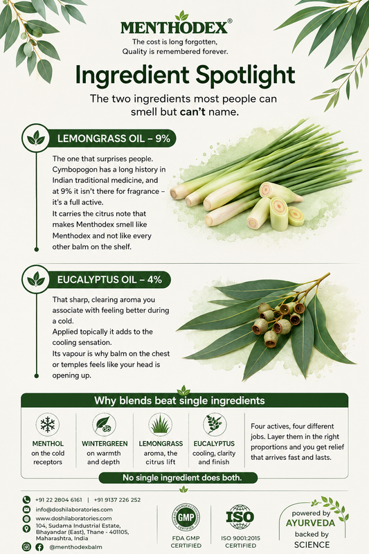 Ingredient Spotlight: Lemongrass & Eucalyptus